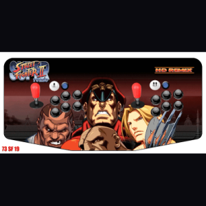 73 Street Fighter 19